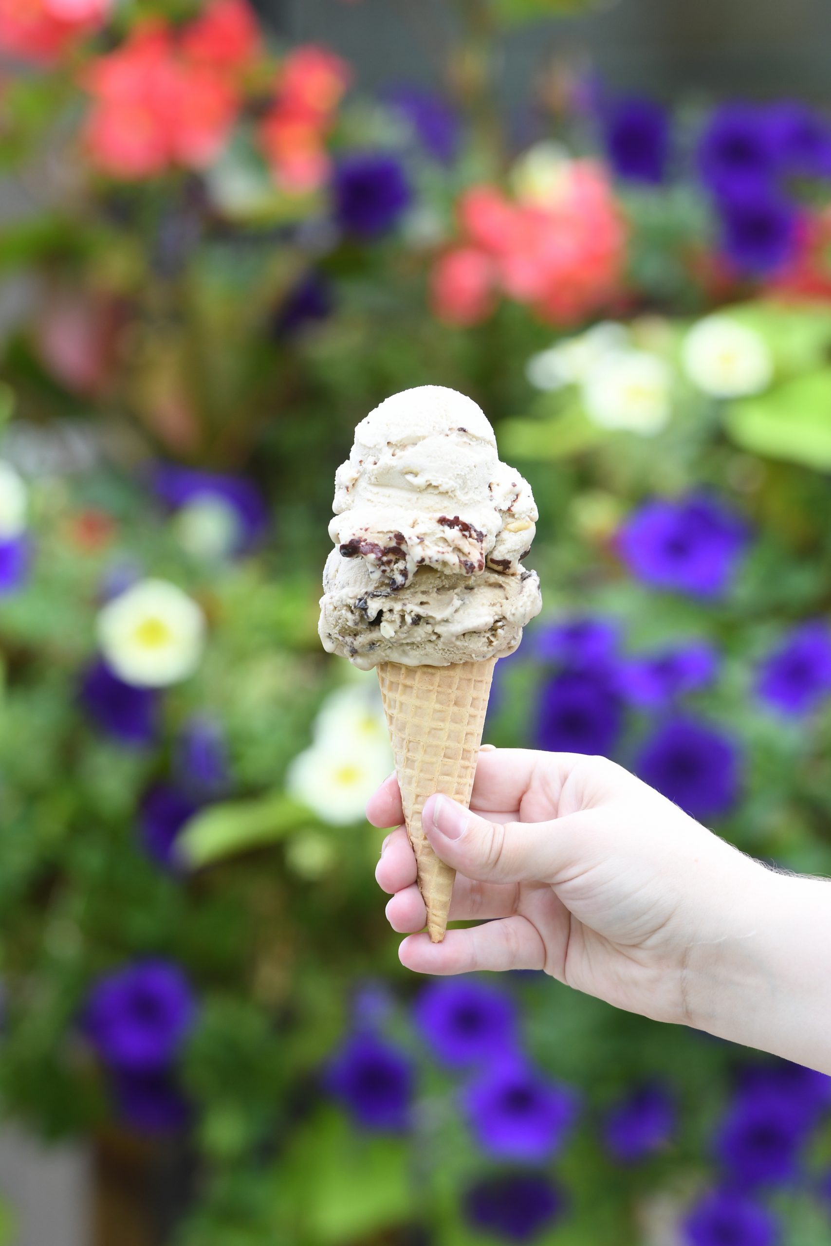 Hub City Ice Cream Company South gallery image