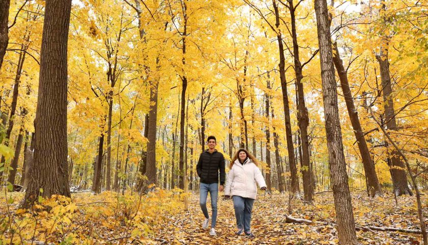 Fall hiking in Marshfield WI